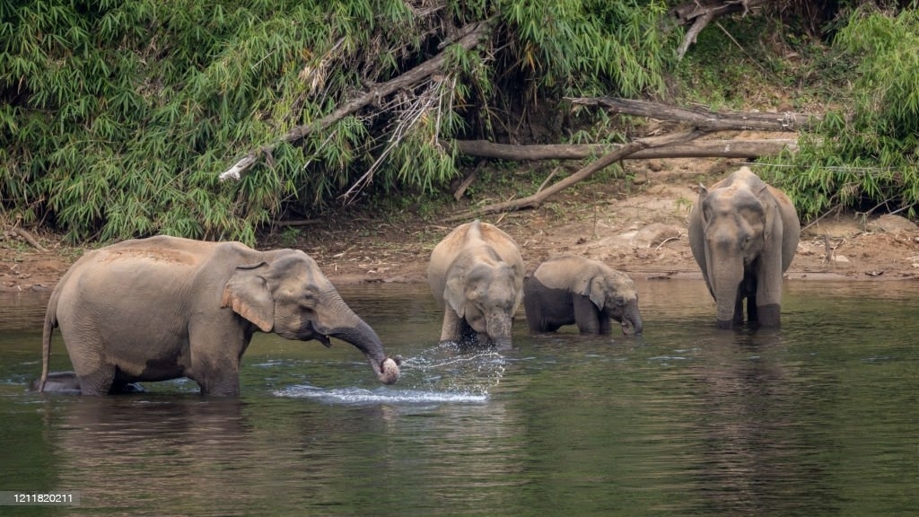 kuruva island