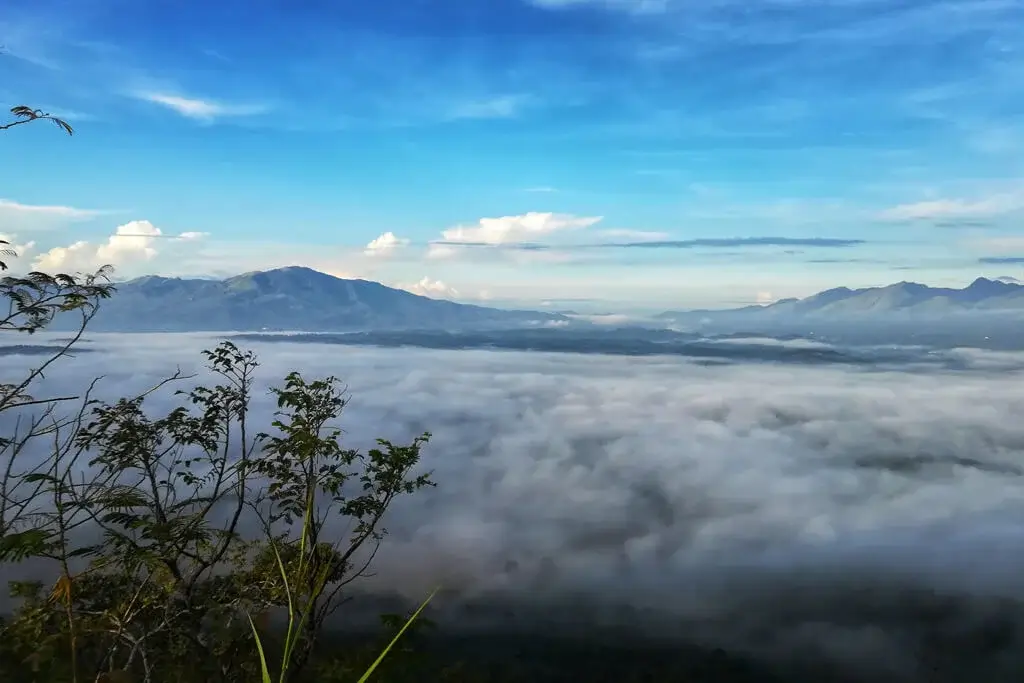Morning Trekking