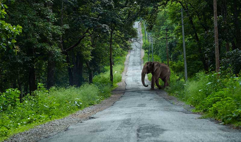 Sunrise Trekking Kuruva Island Resort wayanad