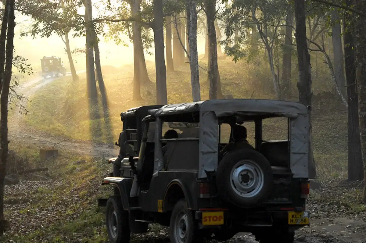 Wild Safari Kuruva Island wayanad