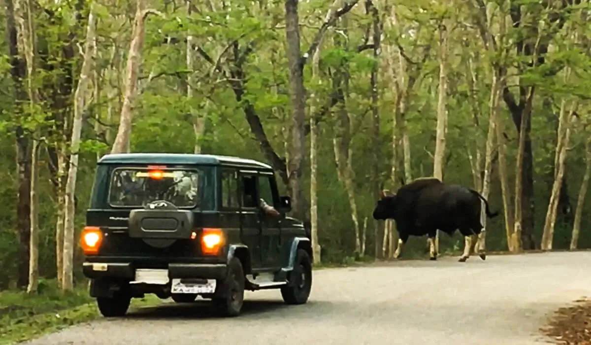 Nagarahole National Park