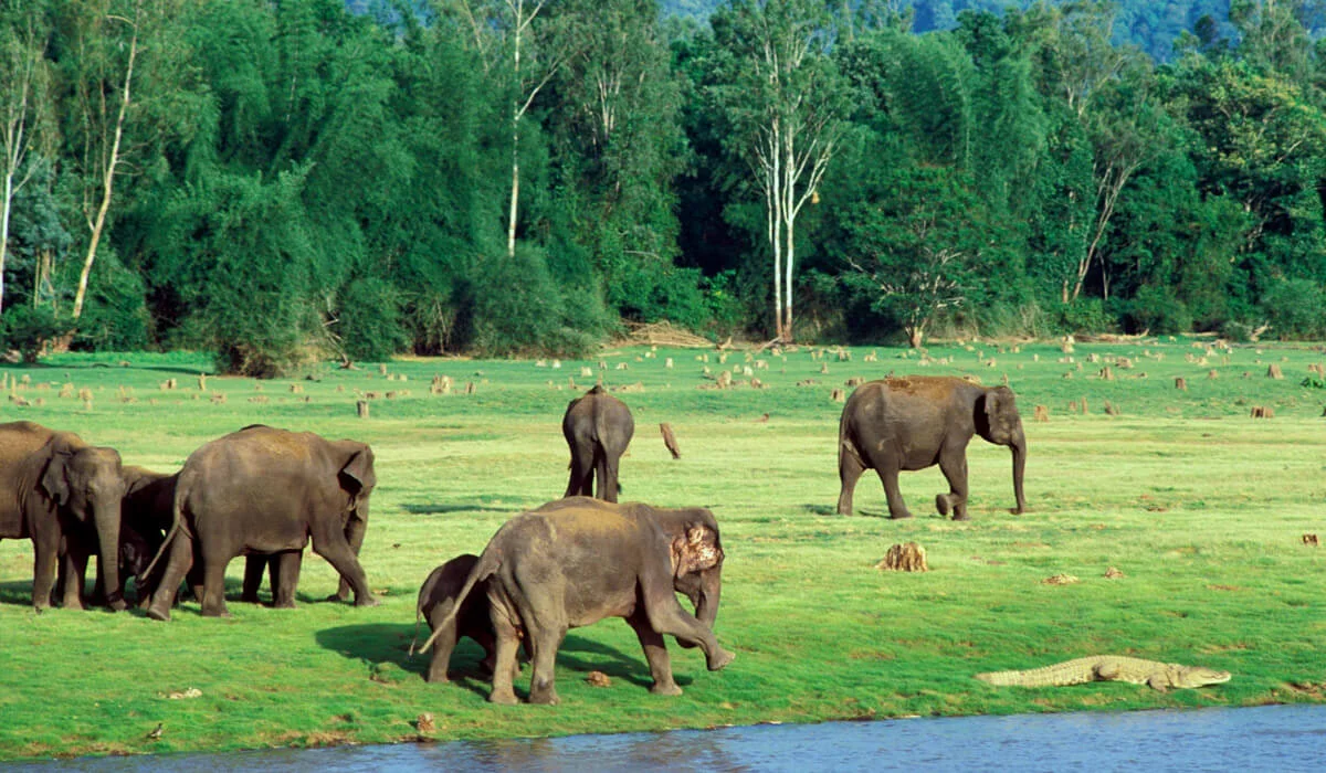 Nagarahole National Park
