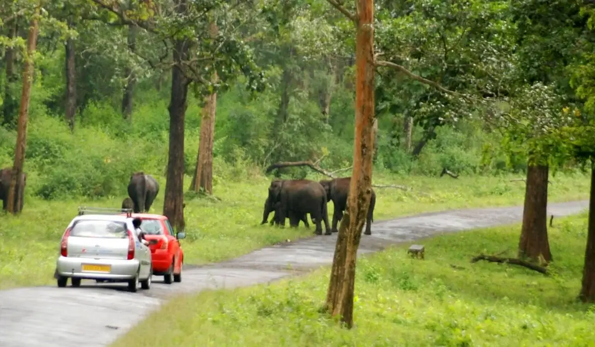Nagarahole National Park