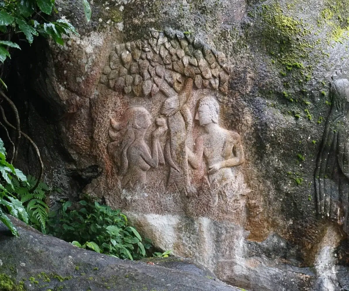 Activities wayanad