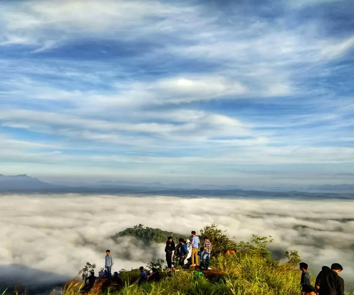 Activities wayanad